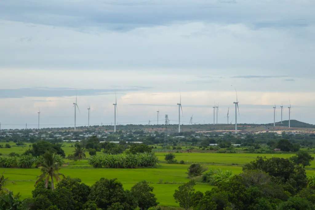 Những trụ phong điện Tuy Phong, nhìn từ tháp Po Dam