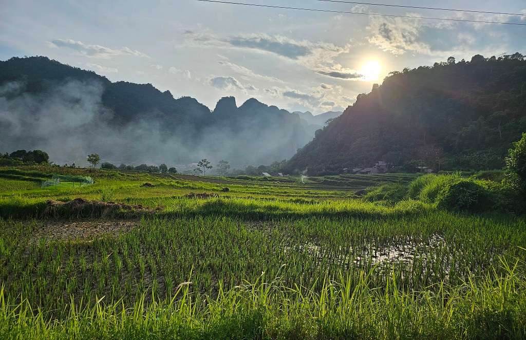 thác tát mạ