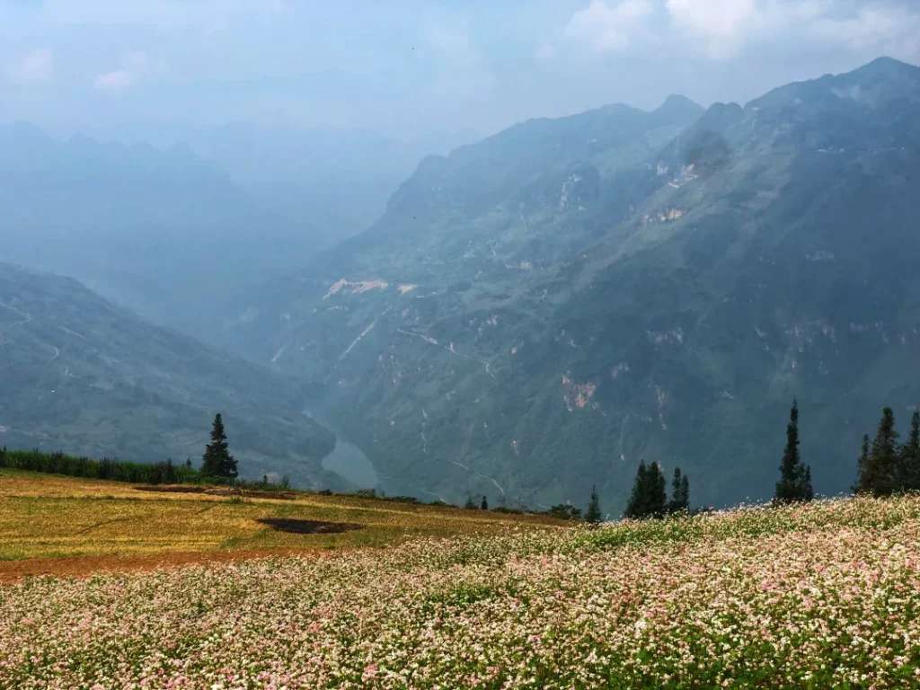 view thung lũng sông nhìn từ trên thảo nguyên Suối Thầu xuống 