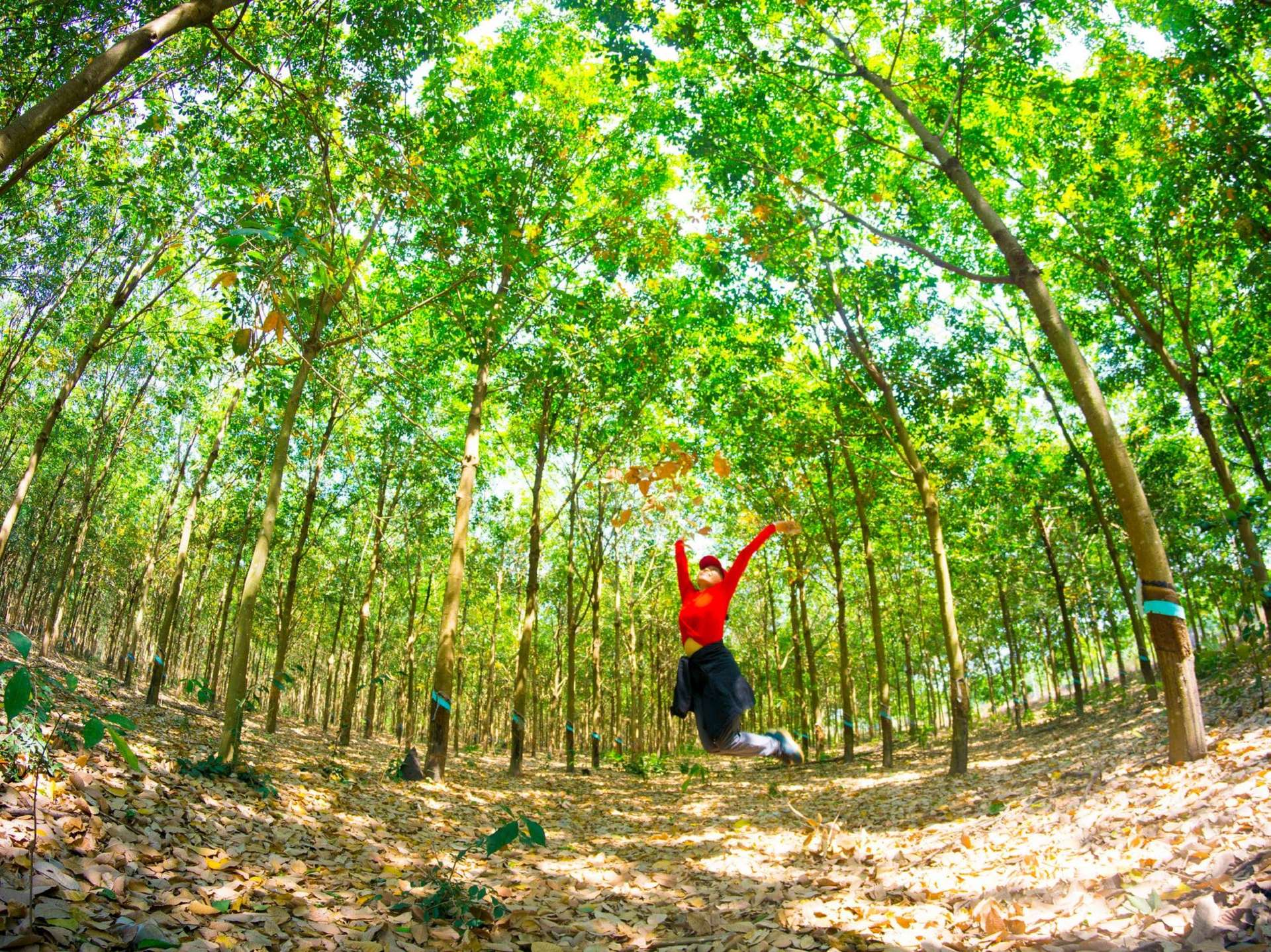 thảo nguyên Sen Monorom Campuchia