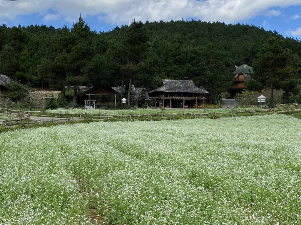 The Nordic Village