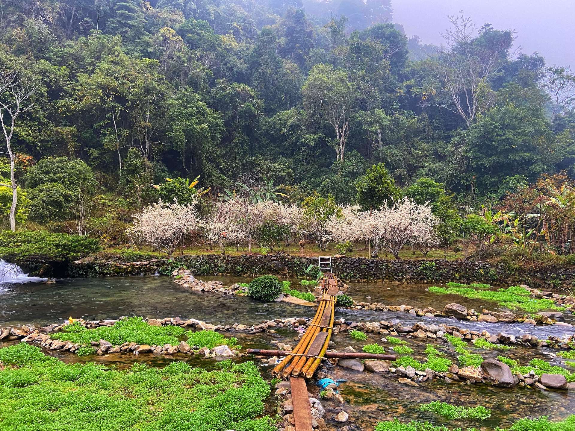 thiên nhiên cao bằng