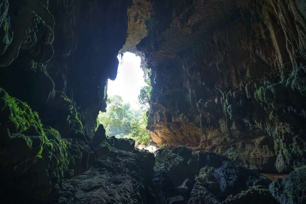 Cửa sau hang Tối nhìn từ bên trong