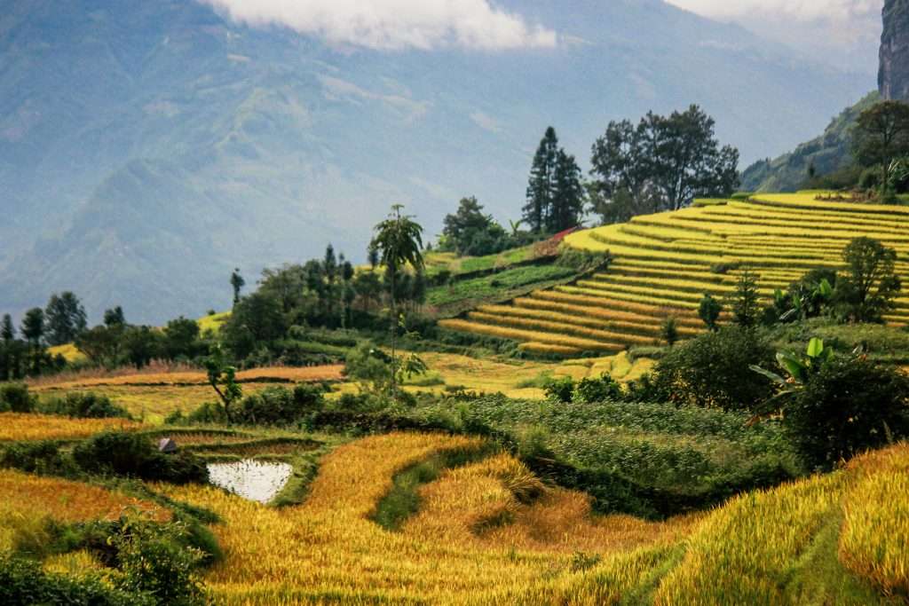 Bức tranh thiên nhiên đẹp nao lòng 