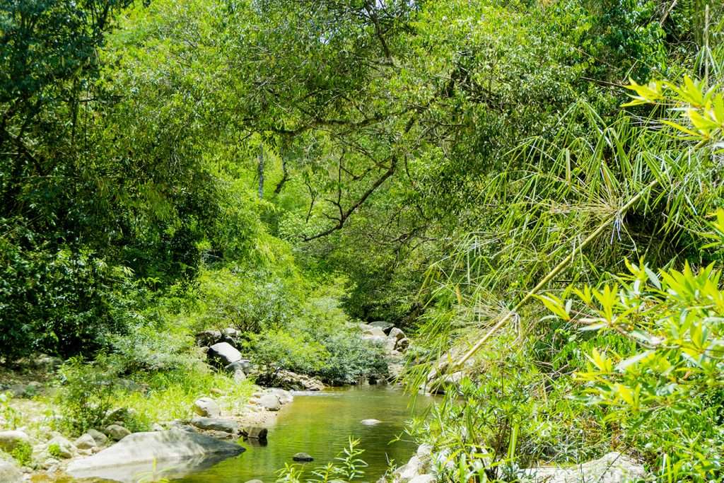 trekking Đa Mi