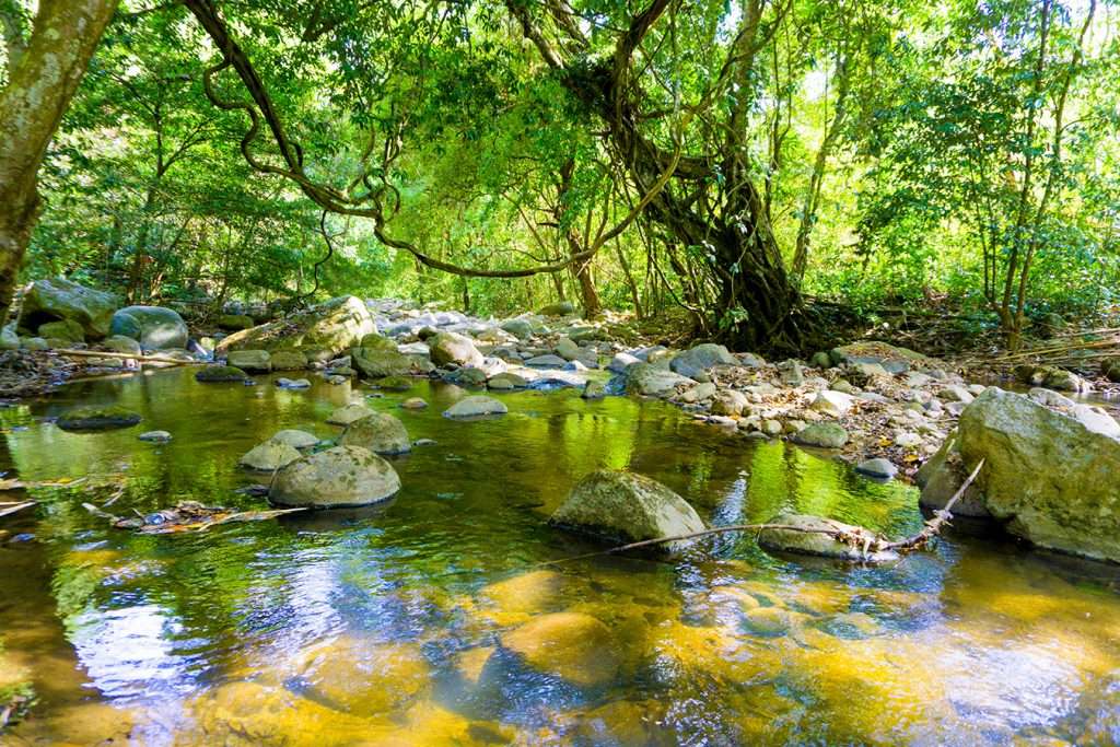 trekking Đa Mi