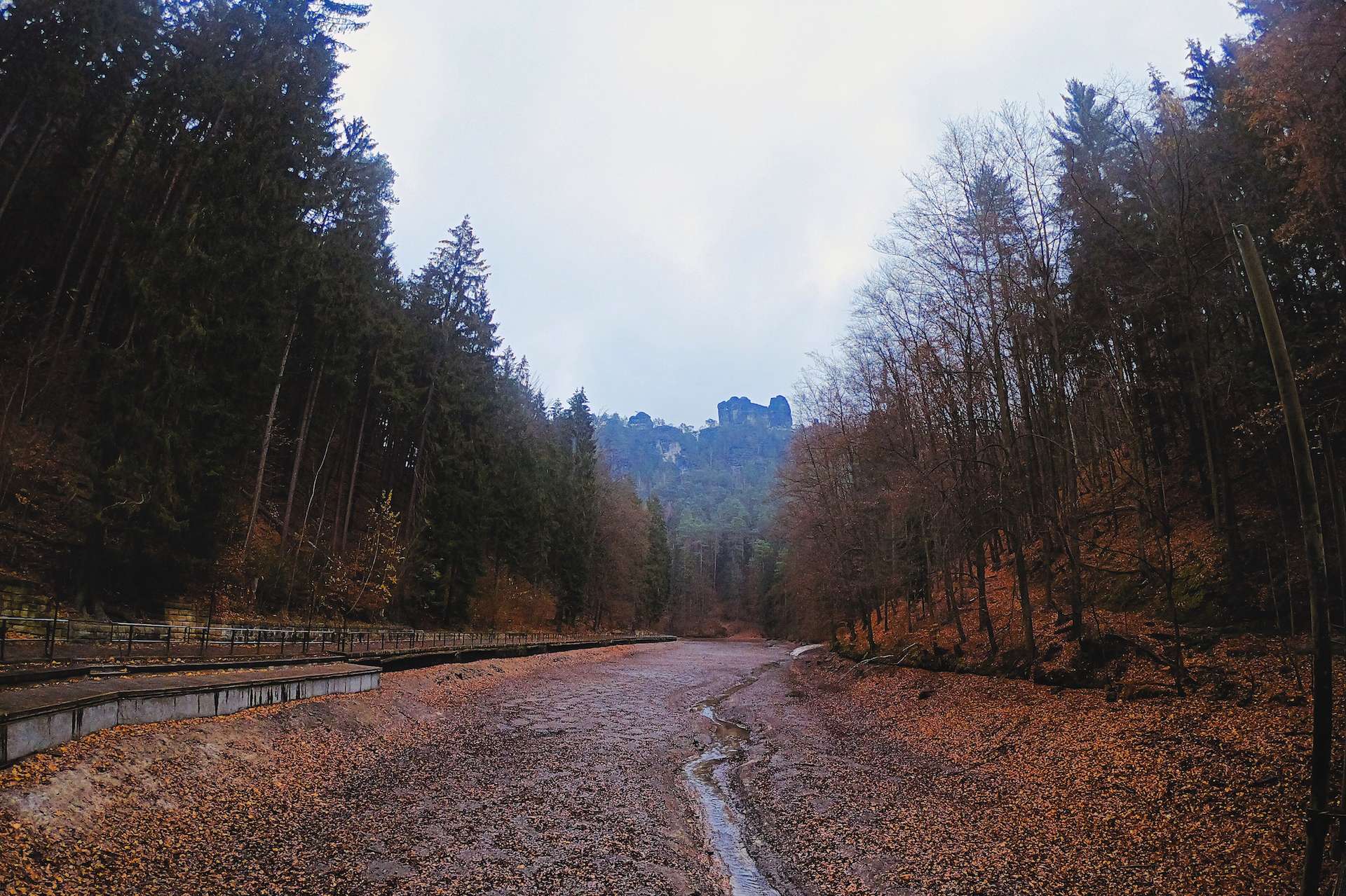 trekking Dresden