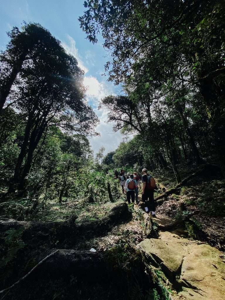 trekking Fansipan