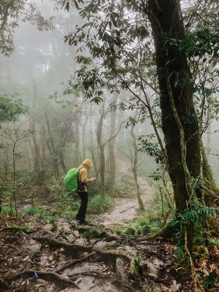 trekking Fansipan