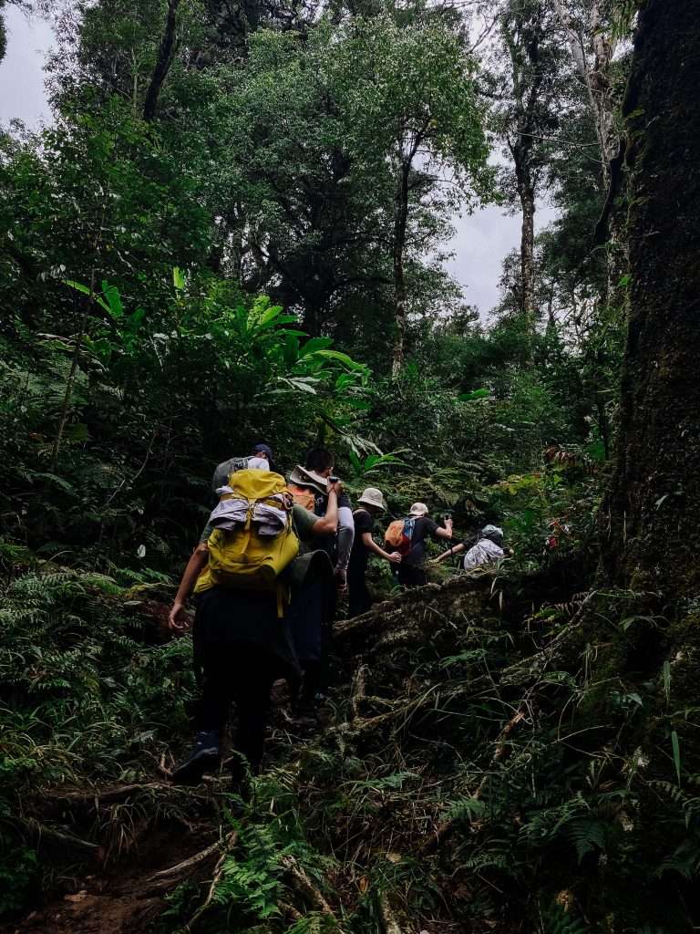 trekking Fansipan