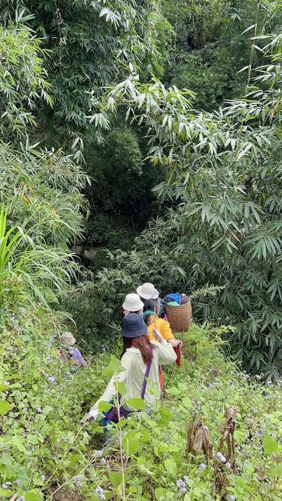 trekking Hầu Thào