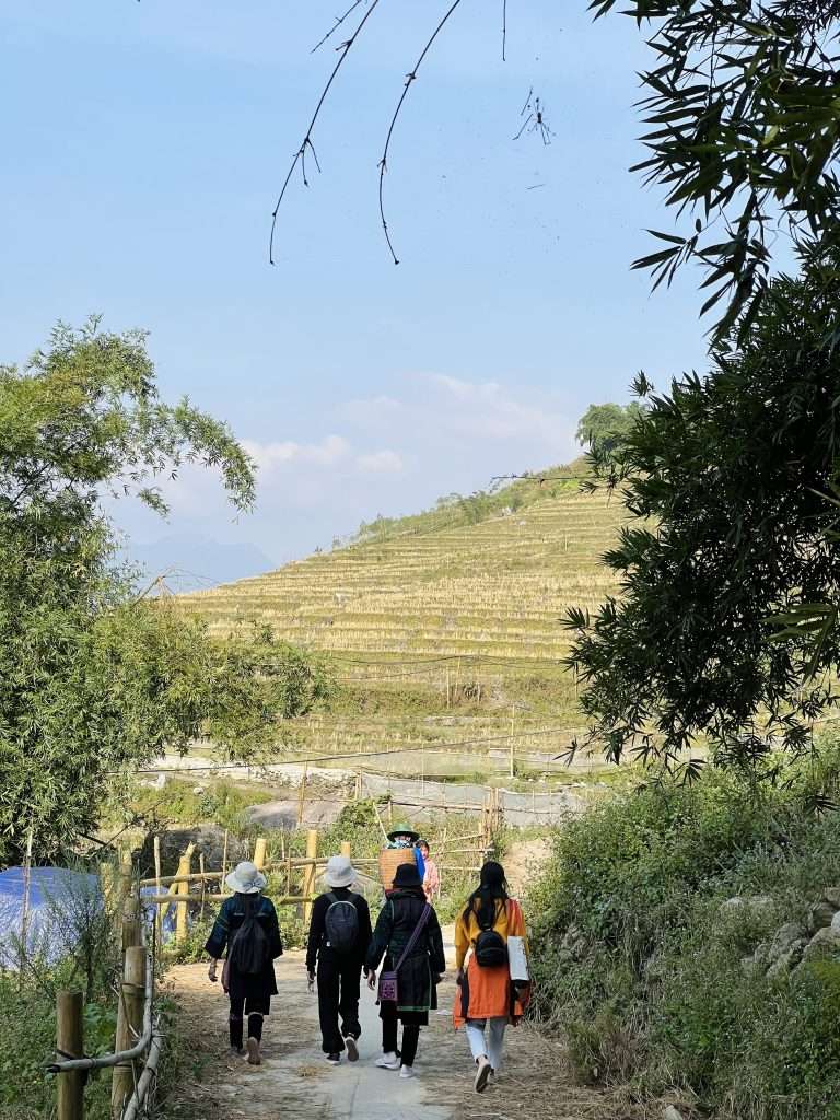 trekking Hầu Thào