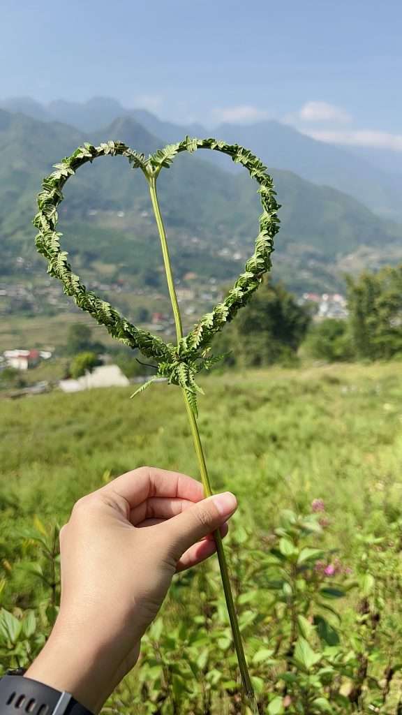 trekking Hầu Thào