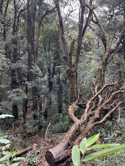 trekking Lùng Cúng