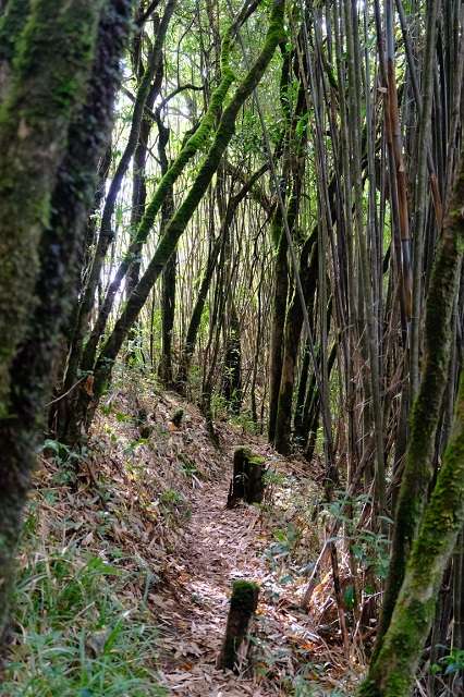 trekking Lùng Cúng