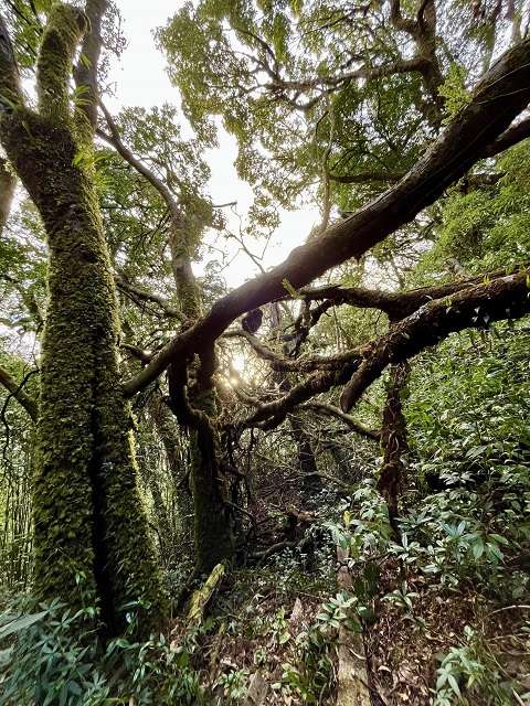 trekking Lùng Cúng