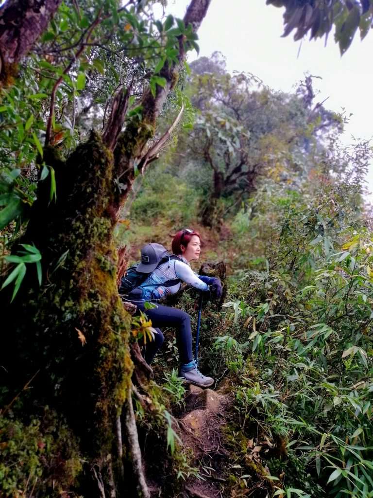 trekking Ngũ Chỉ Sơn