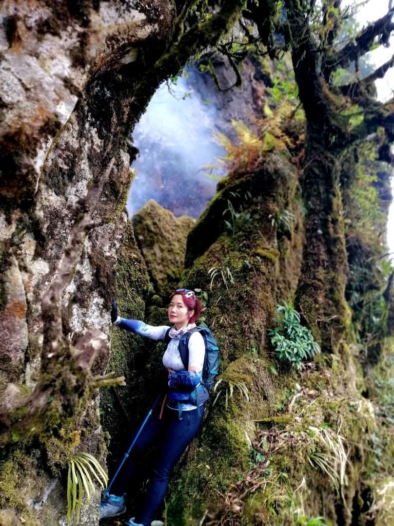 trekking Ngũ Chỉ Sơn