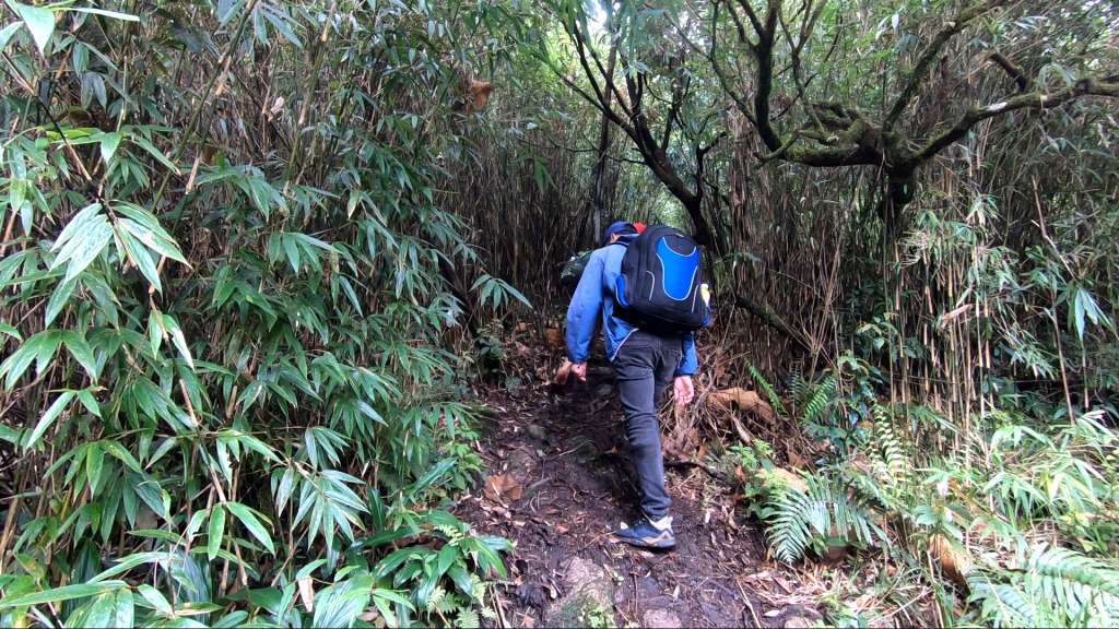 trekking Nhìu Cồ San