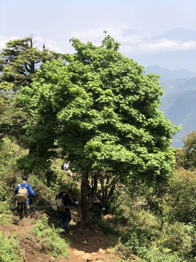 trekking Nhìu Cồ San