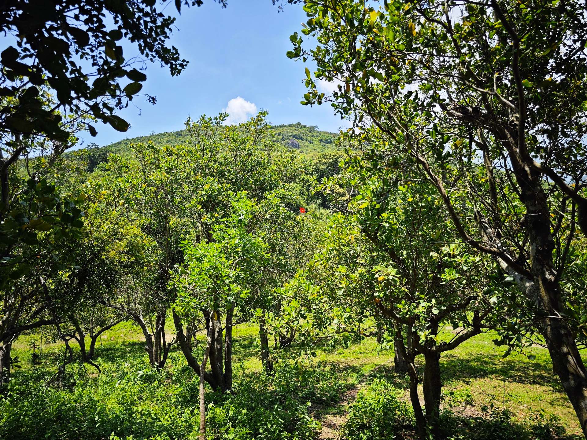 trekking núi chúa