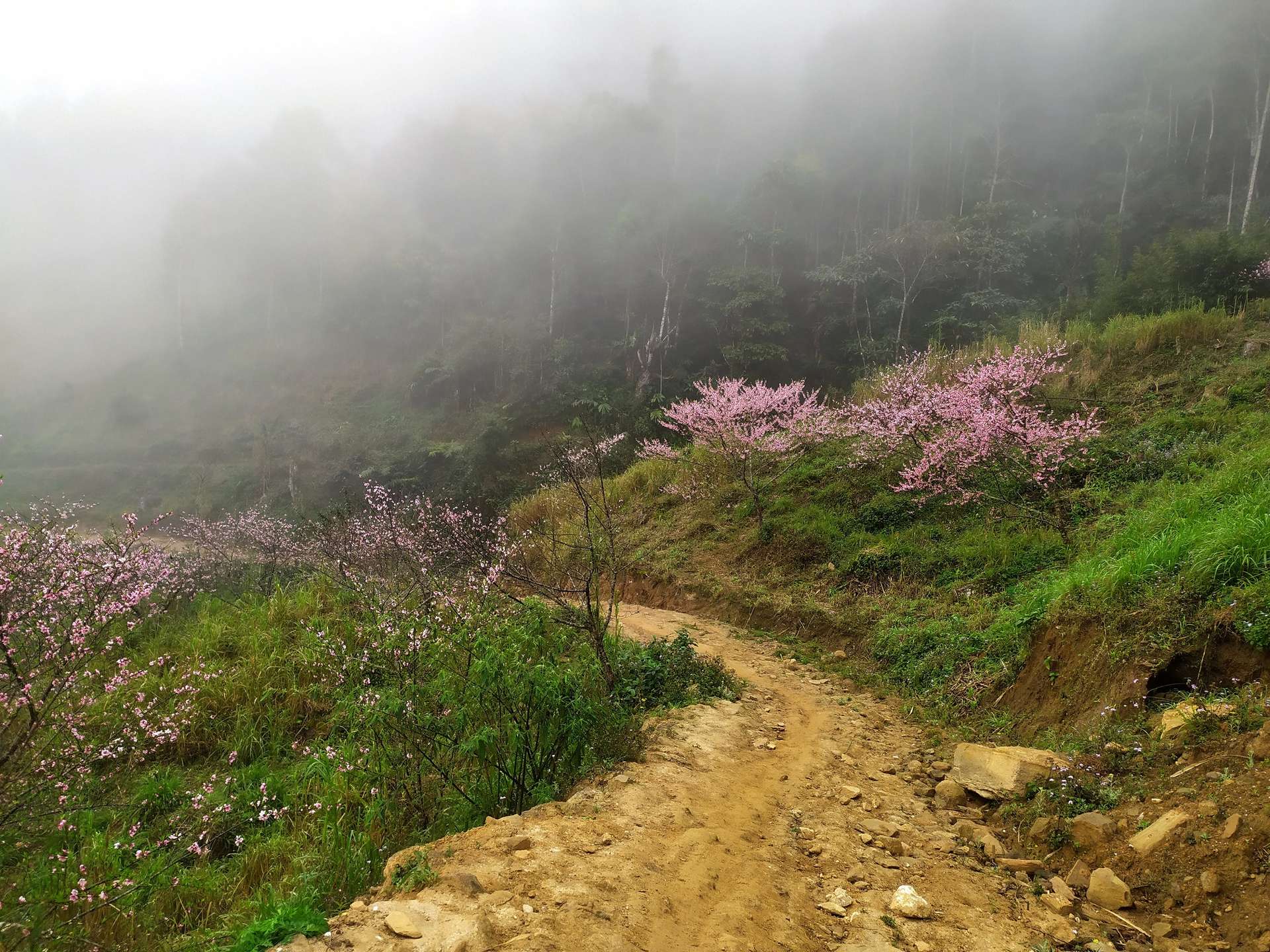 trekking tà xùa 3 đỉnh