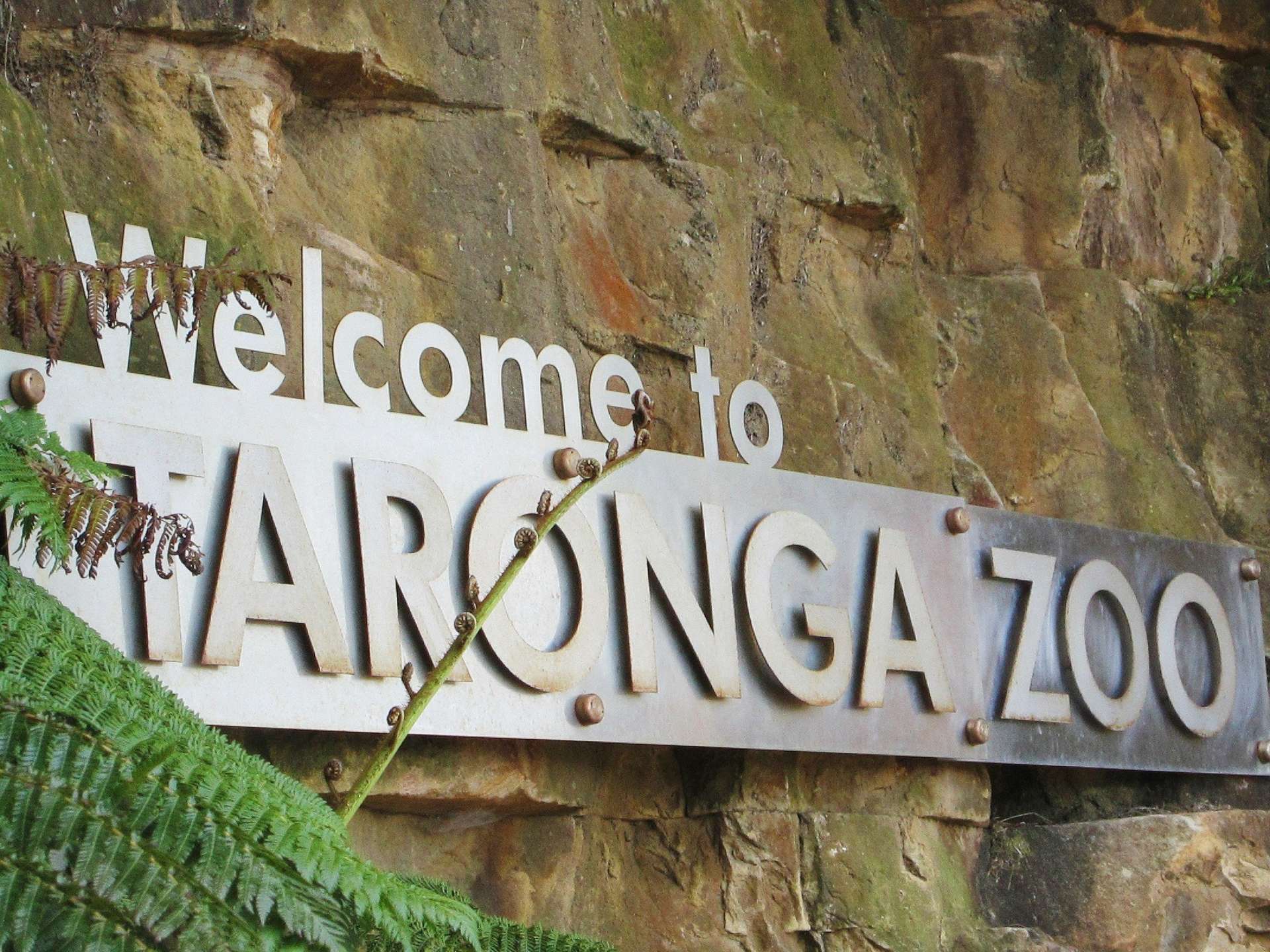 vườn thú Taronga Sydney