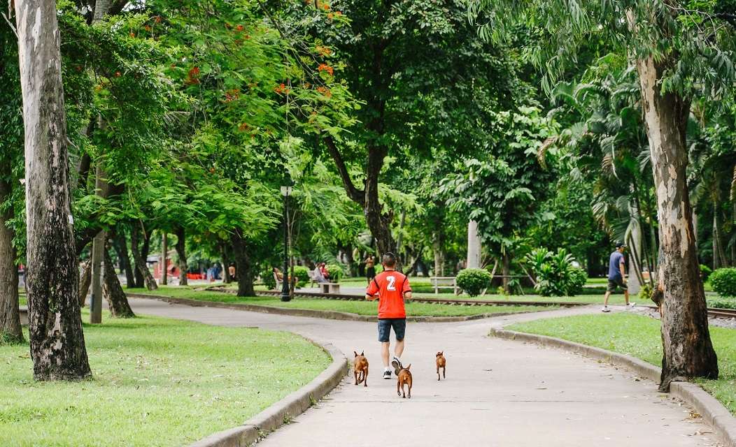 hồ bảy mẫu