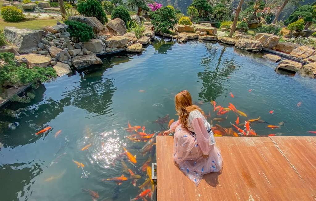 Hồ cá Koi tại Quê Garden