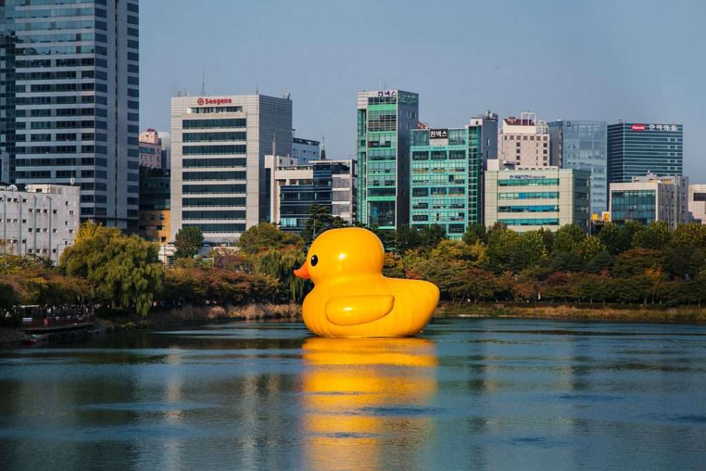 Rubber Duck