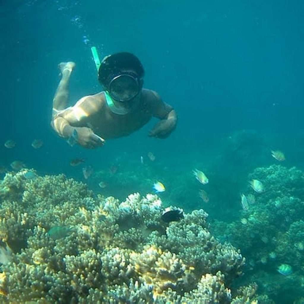 lặn ngắm san hô tại biển hòn Chùa