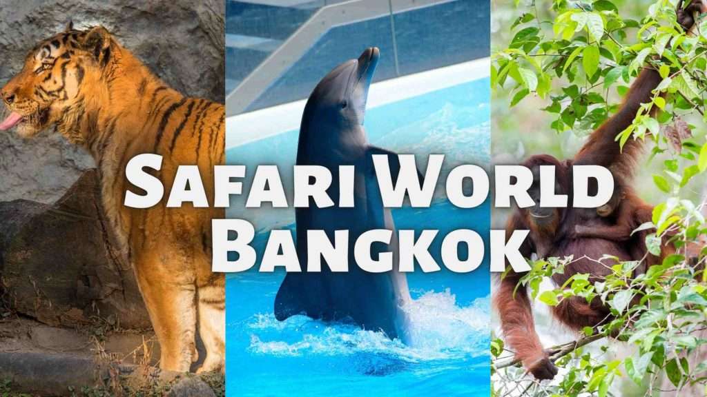 Trải nghiệm độc đáo tại Safari World Bangkok cho cả gia đình bạn