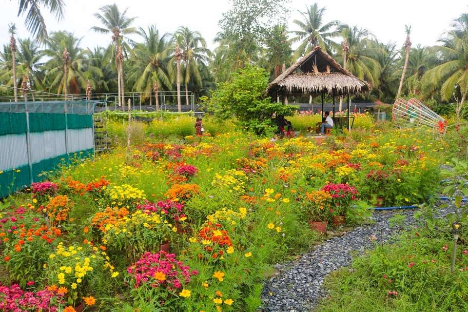 khu du lịch Hạ Thảo