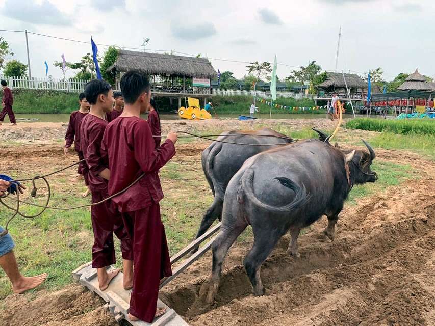 khu du lịch Phương Nam Đồng Tháp