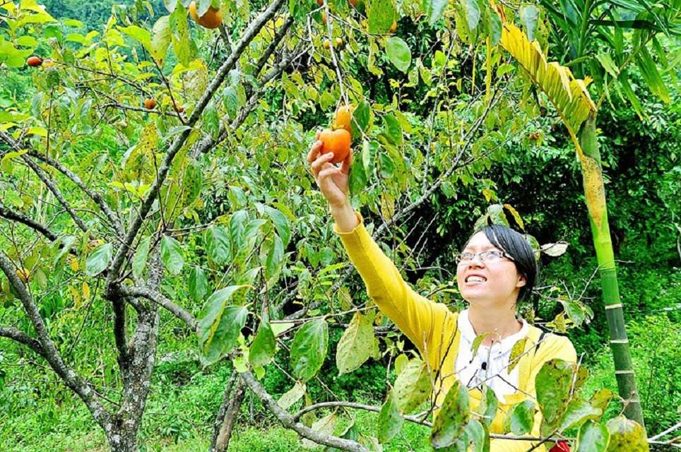 khu du lịch sinh thái Thung Nham