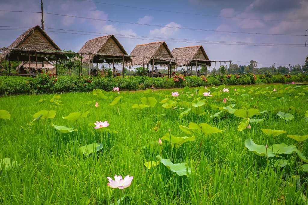 Hình ảnh thanh bình tại khu du lịch sinh thái ẩm thực Mỹ Phước Thành