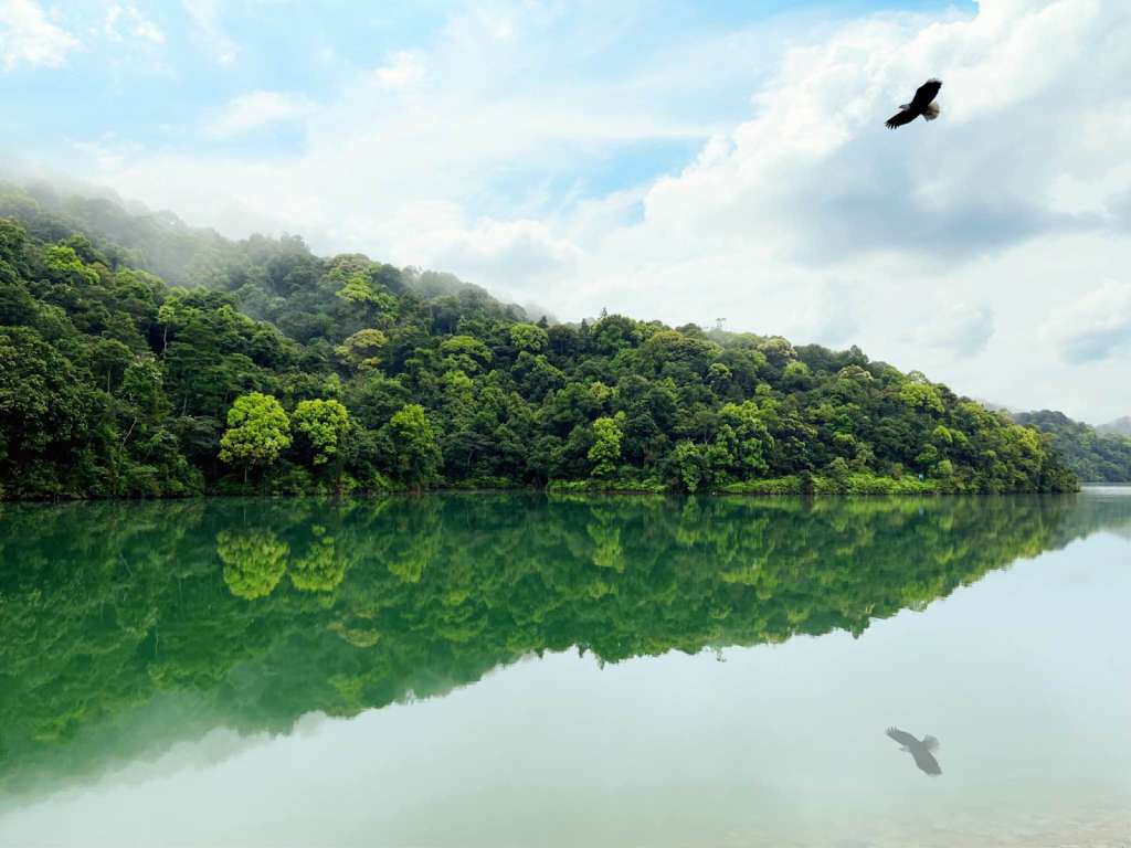 Khu du lịch sinh thái Hồ Khe Chão Bắc Giang - Địa điểm du lịch lý tưởng cho người yêu thiên nhiên 