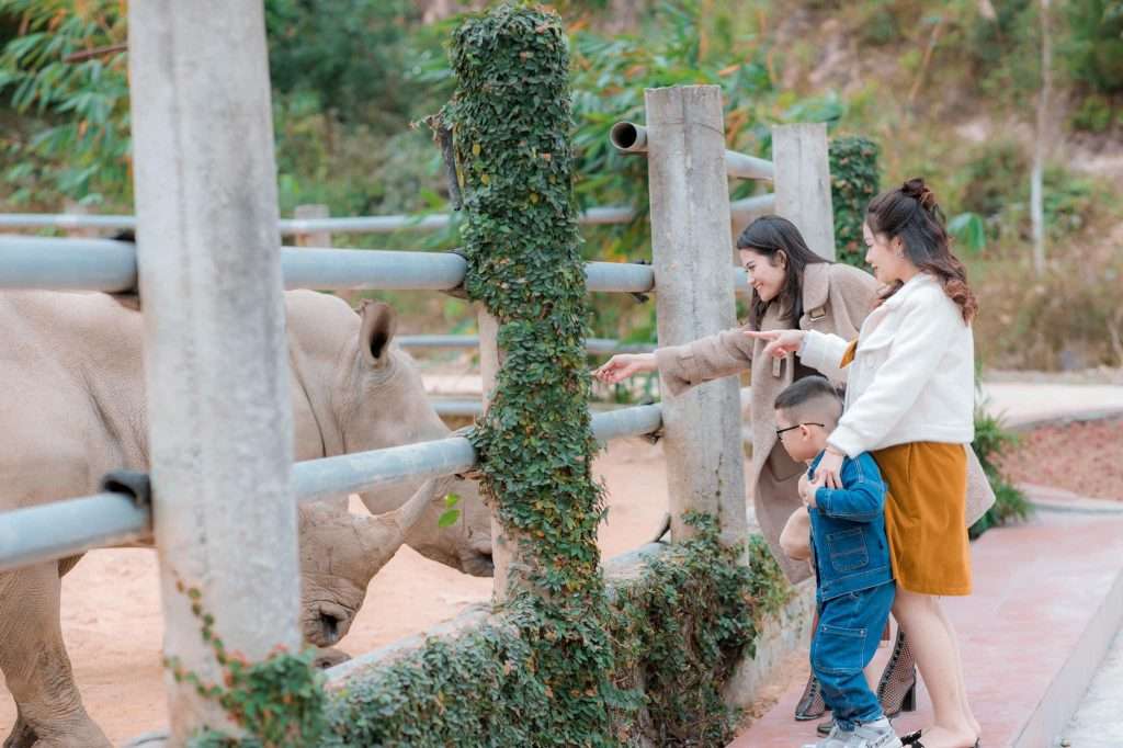 Khu du lịch sinh thái Hòn Nhạn