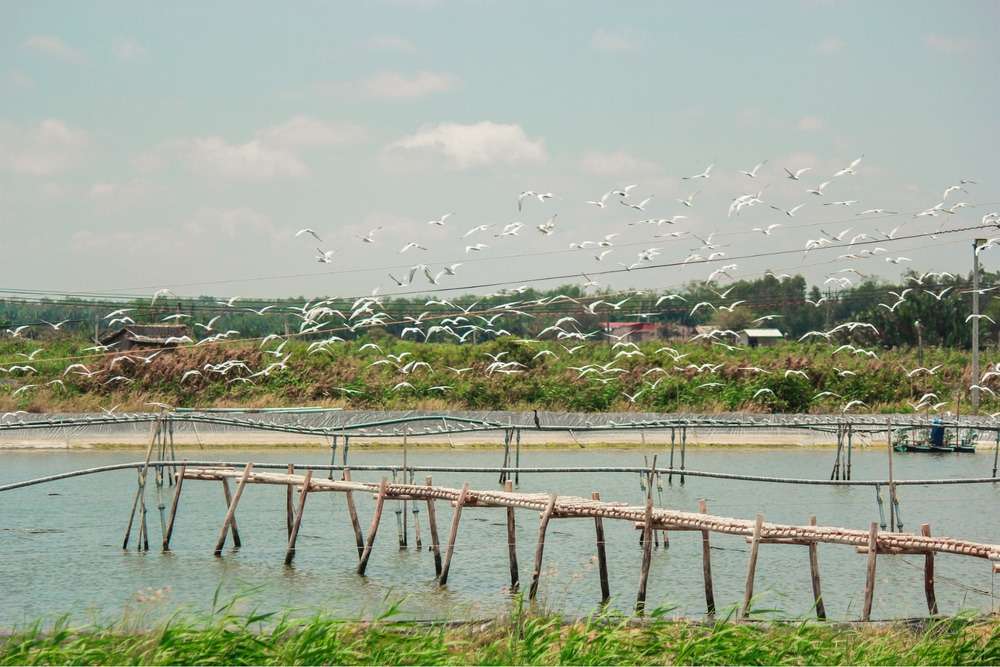 Tiền Giang yên bình