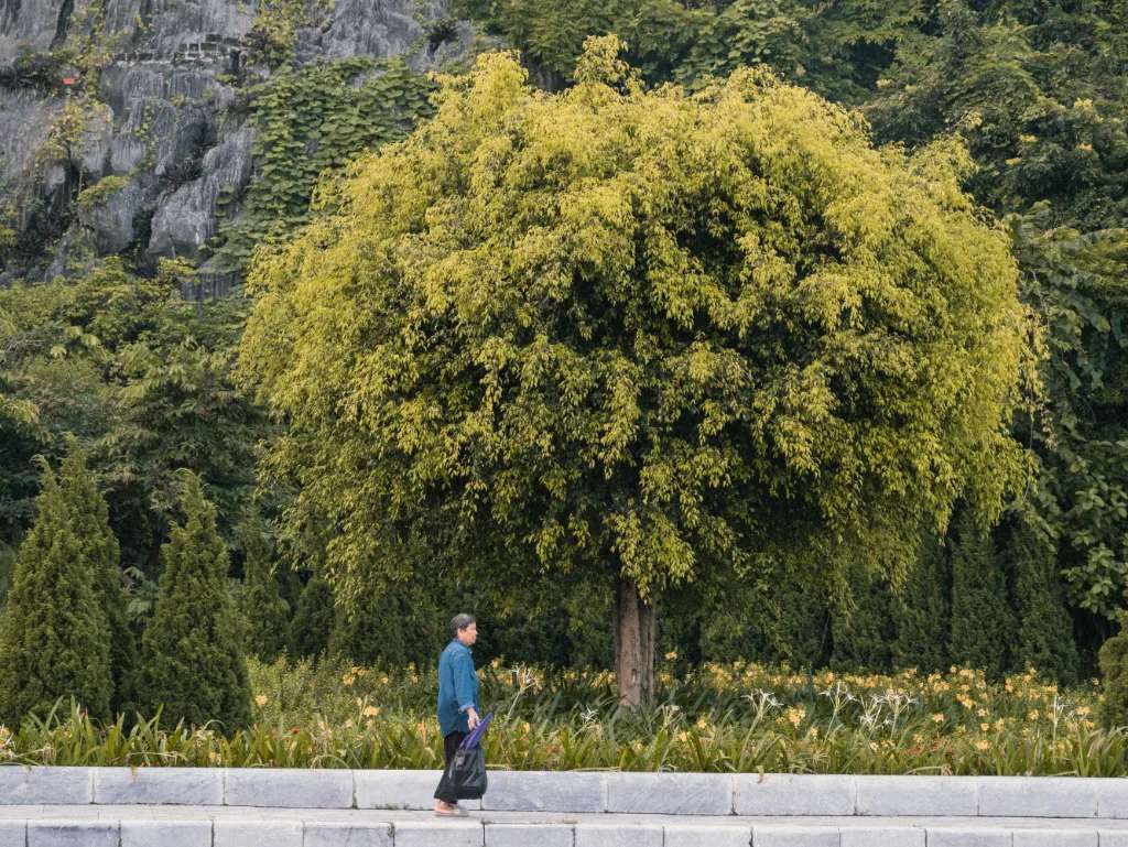 Địa điểm check in Hạ Long