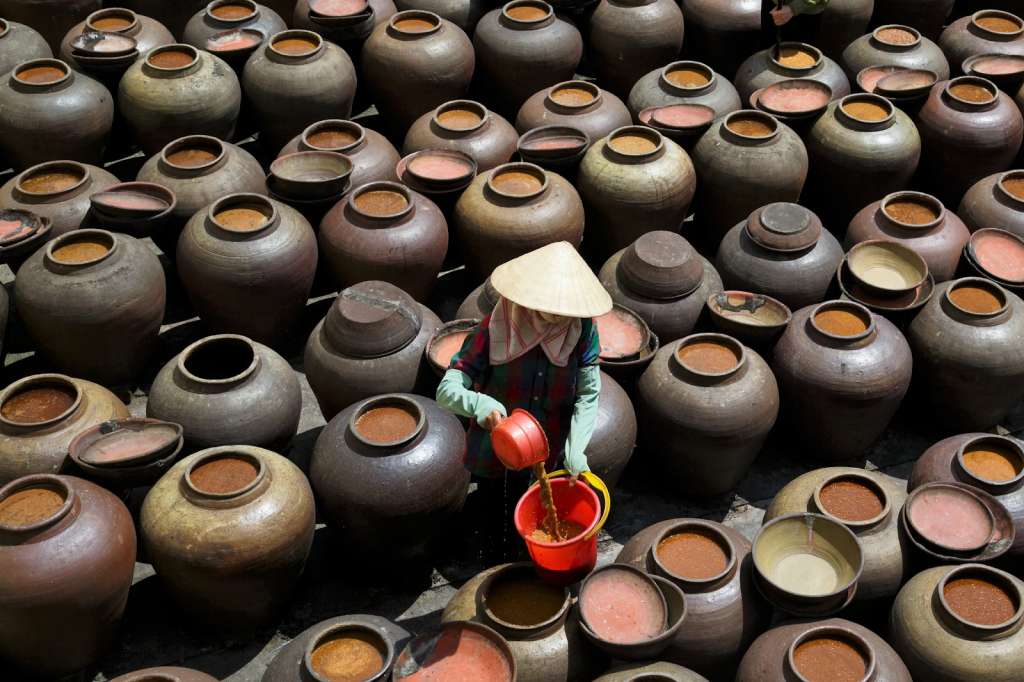 Du khách có thể lựa chọn nhiều phương tiện di chuyển khác nhau tới làng tương bần