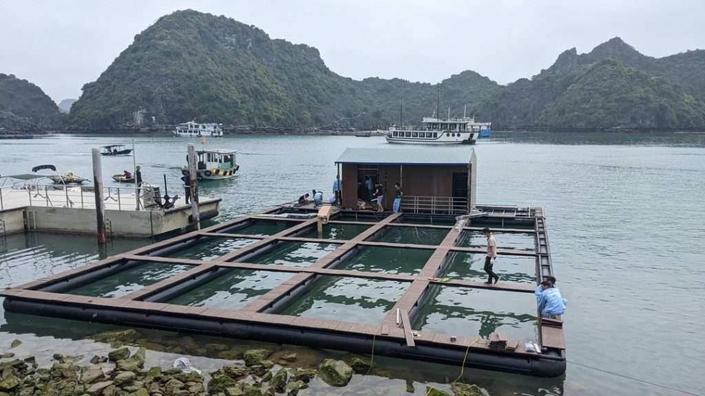 làng chài cổ Cát Bà