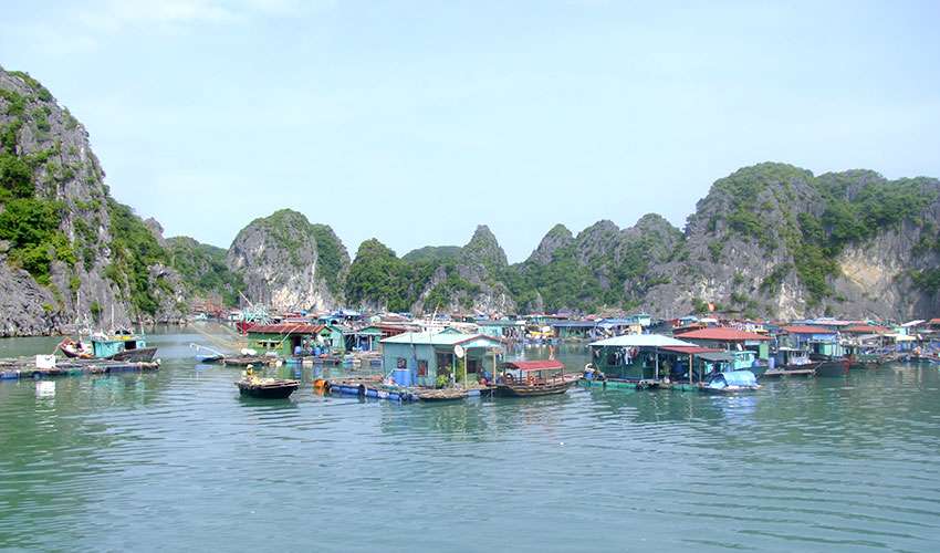 làng chài cổ Cái Bèo Cát Bà