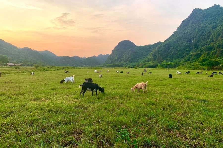 làng cổ ở Cát Bà