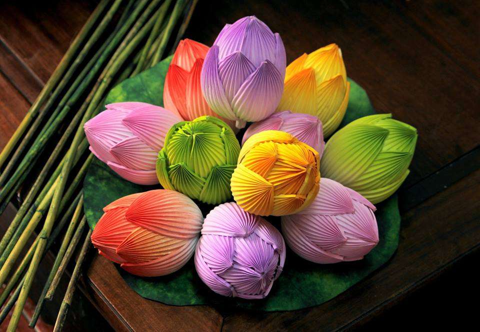 Bên cạnh hoa giấy, hoa sen là loài hoa được trưng bày và sử dụng quanh năm