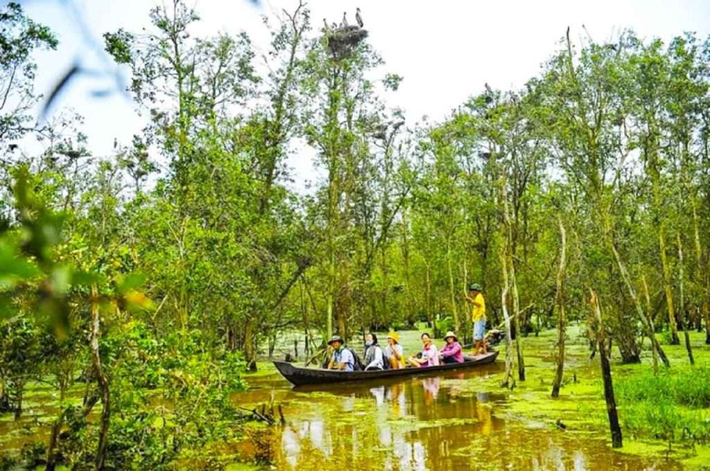 Chèo thuyền xuyên rừng tràm