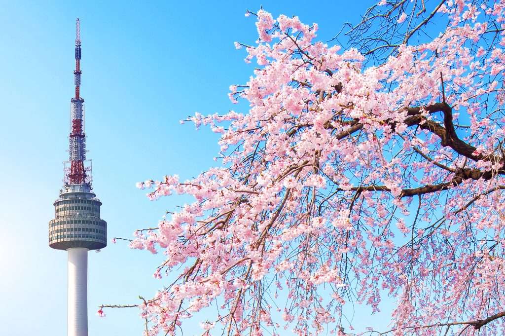 Tháp N Seoul Tower được xem là biểu tượng của thủ đô Seoul 