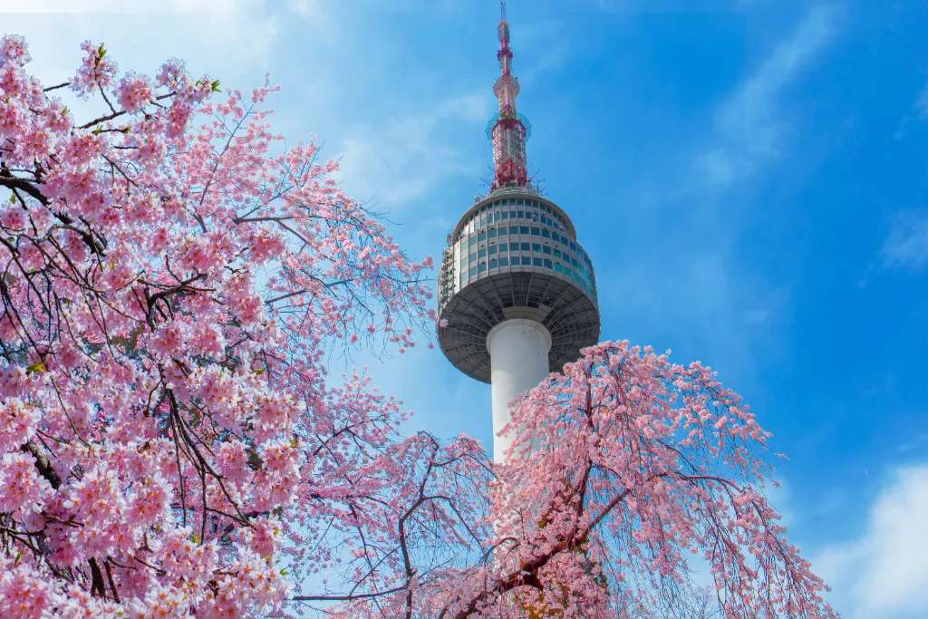 N Seoul Tower có rất nhiều tên gọi như là N Seoul hoặc là tháp Namsan