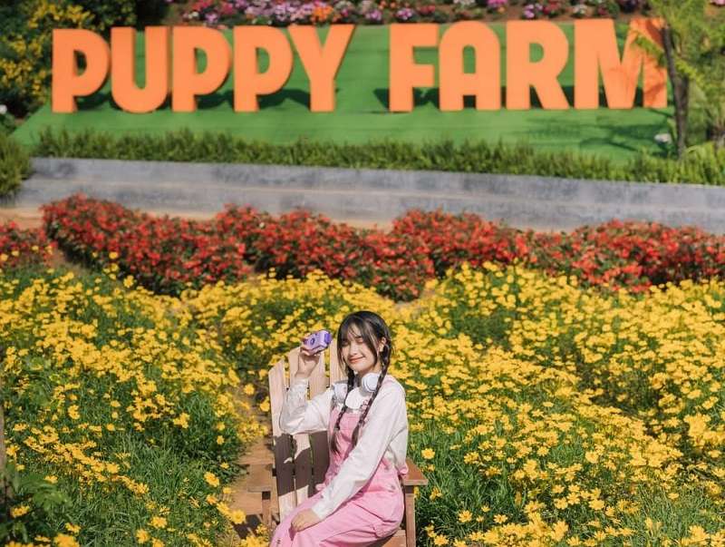 Puppy Farm Dalat