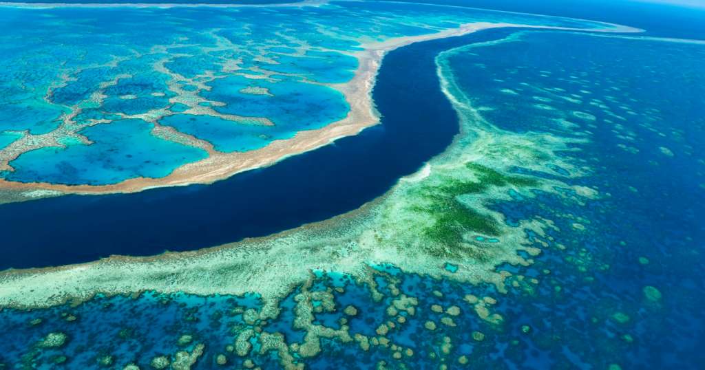 Khám phá rặng san hô lớn nhất thế giới - Great Barrier